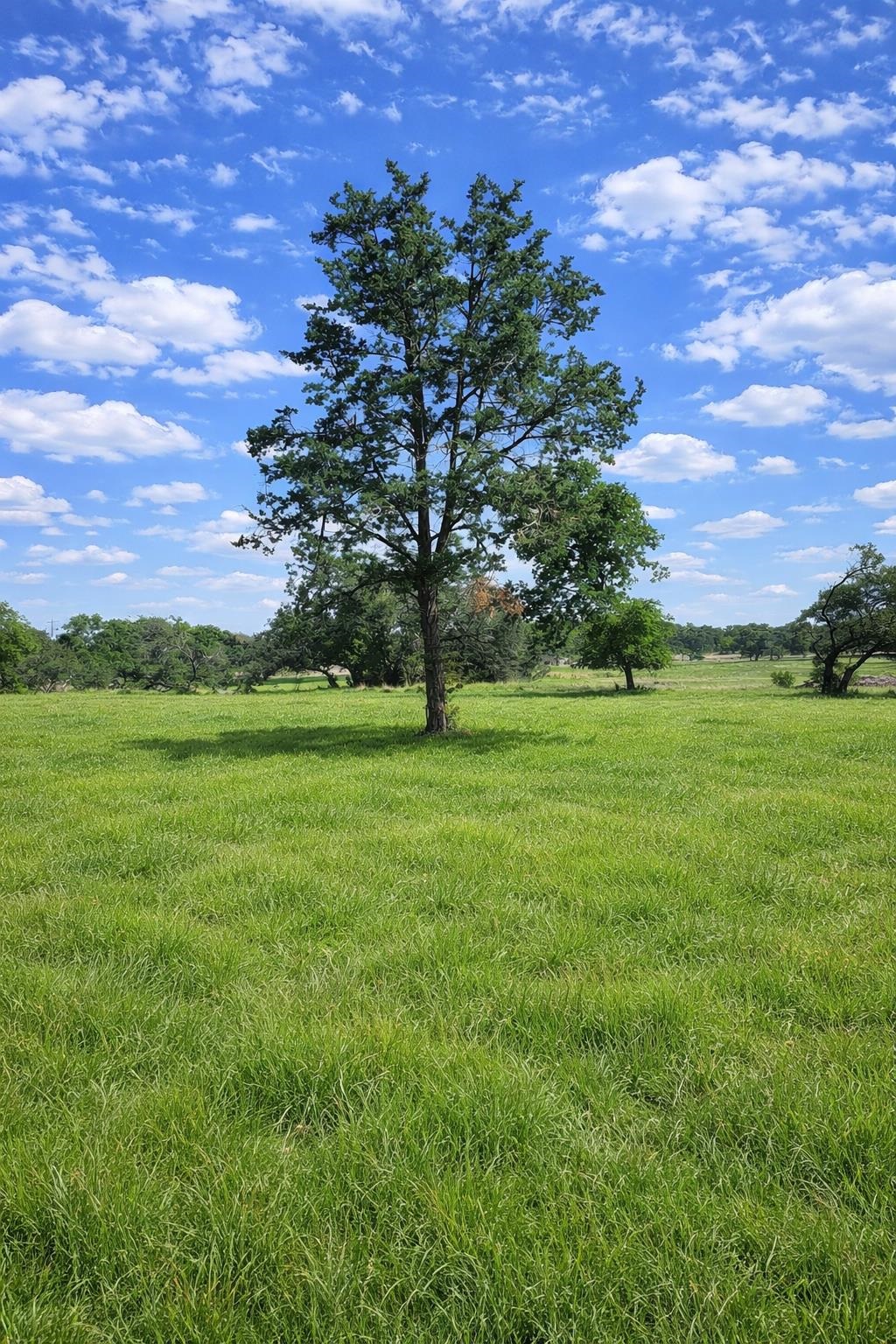 Tbd Cr 103 Lampasas TX 76550