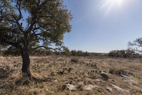 Lot 82 Big Creek Drive Kingsland TX 78639