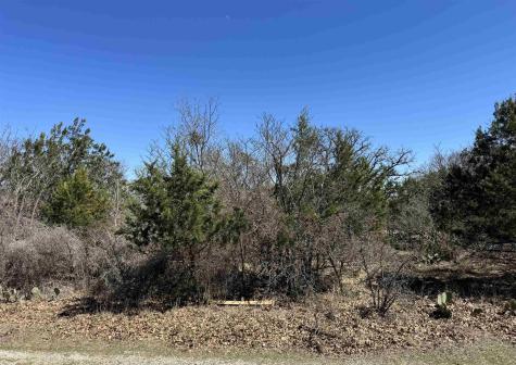 Lot 218 Western Drive Kingsland TX 78639