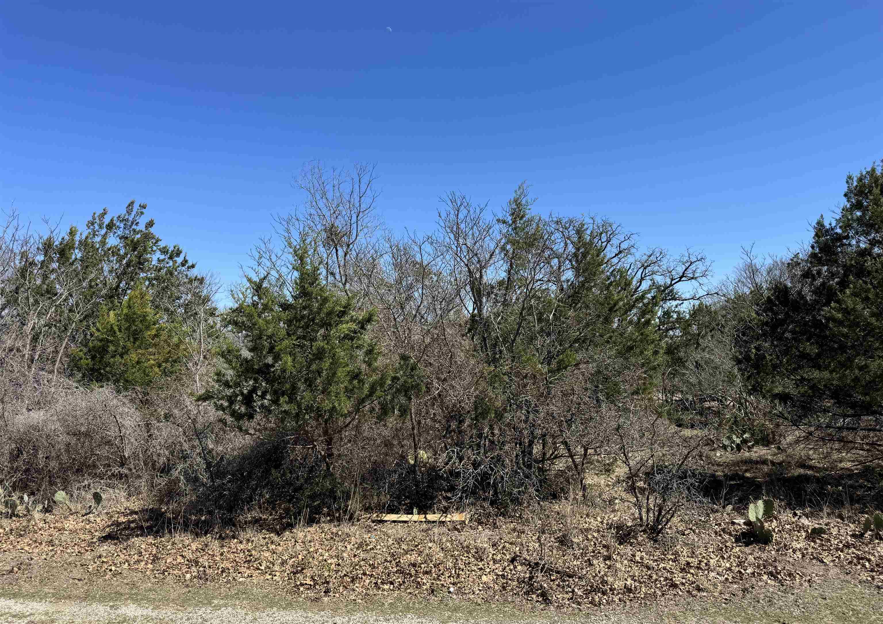 Lot 218 Western Drive Kingsland TX 78639
