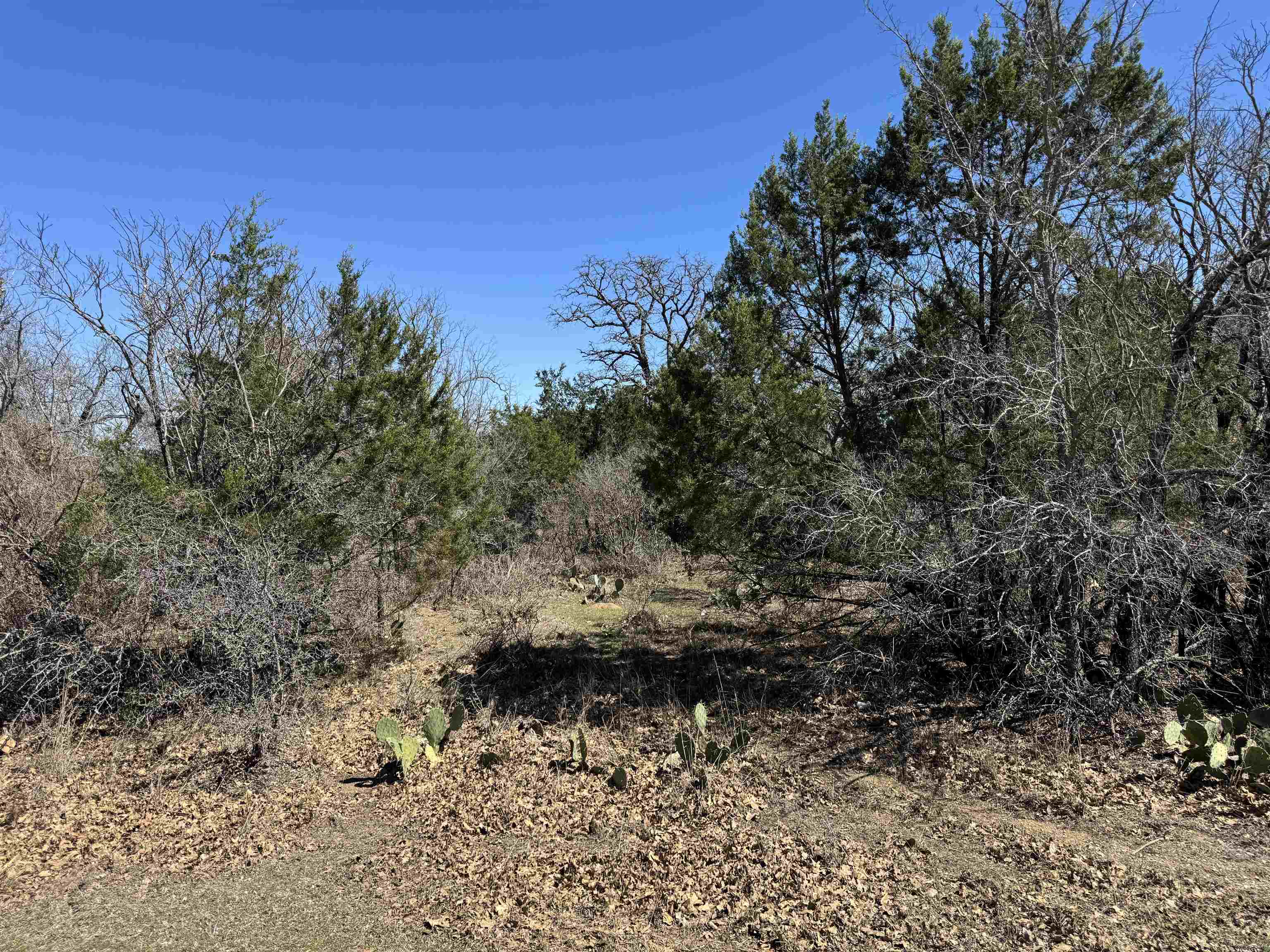 Lot 218 Western Drive Kingsland TX 78639
