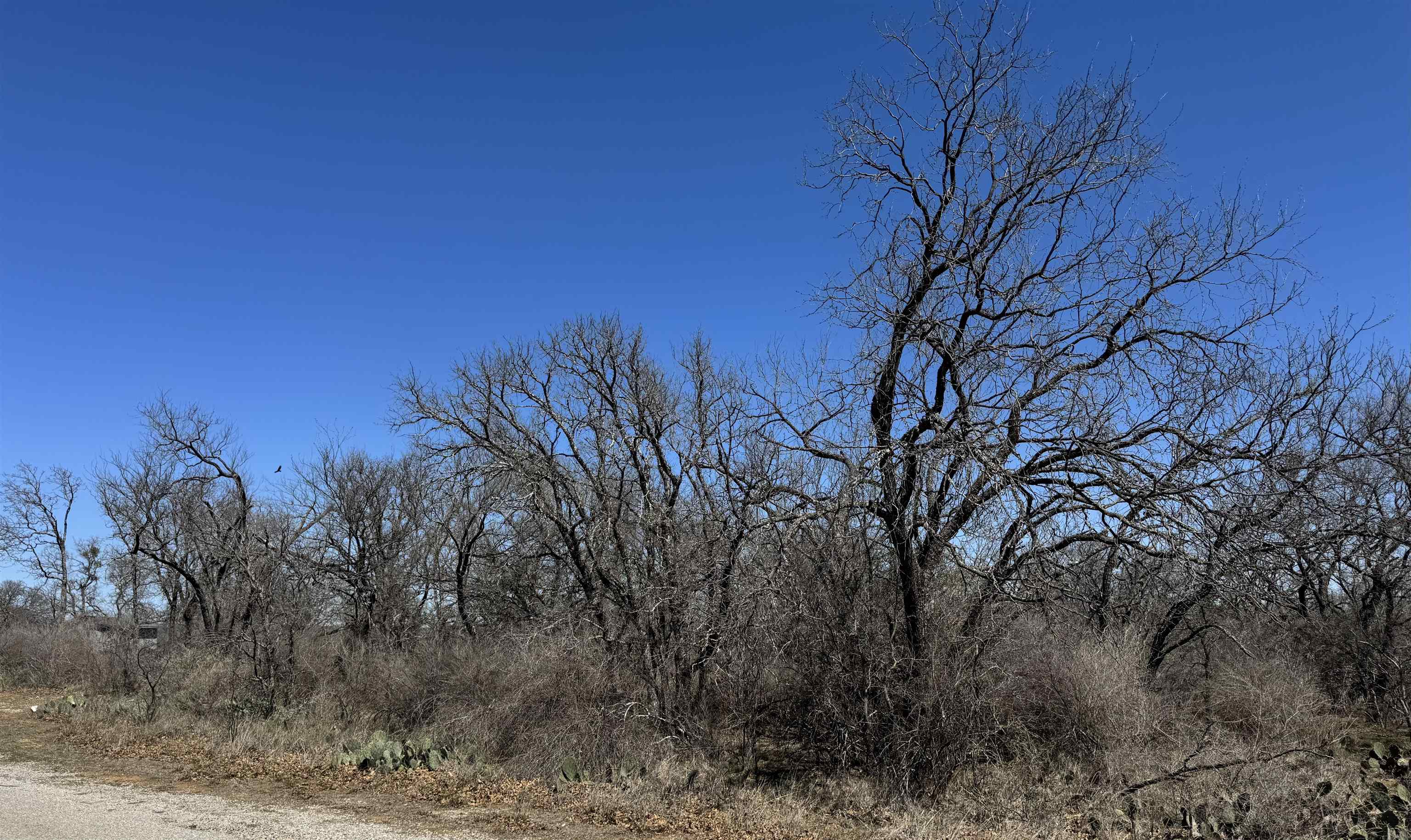 Lot 218 Western Drive Kingsland TX 78639