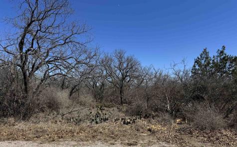Lot 218 Western Drive Kingsland TX 78639
