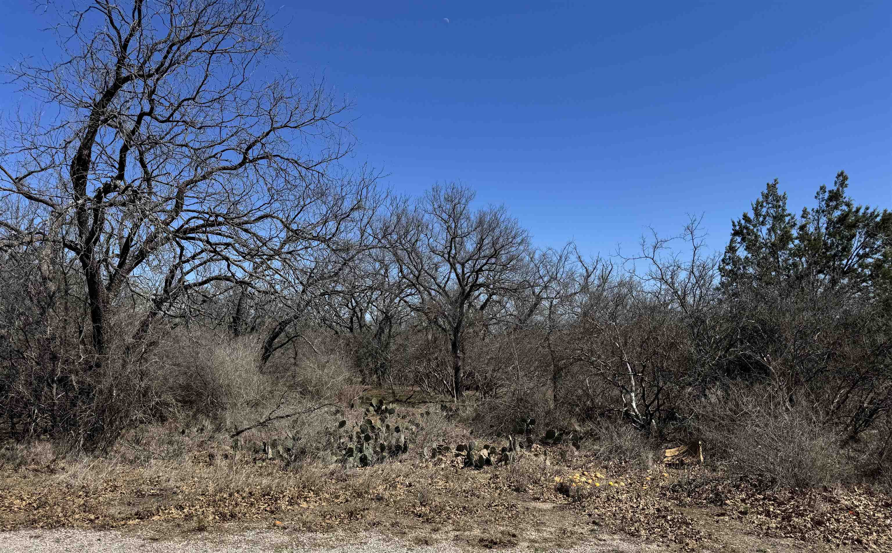 Lot 218 Western Drive Kingsland TX 78639