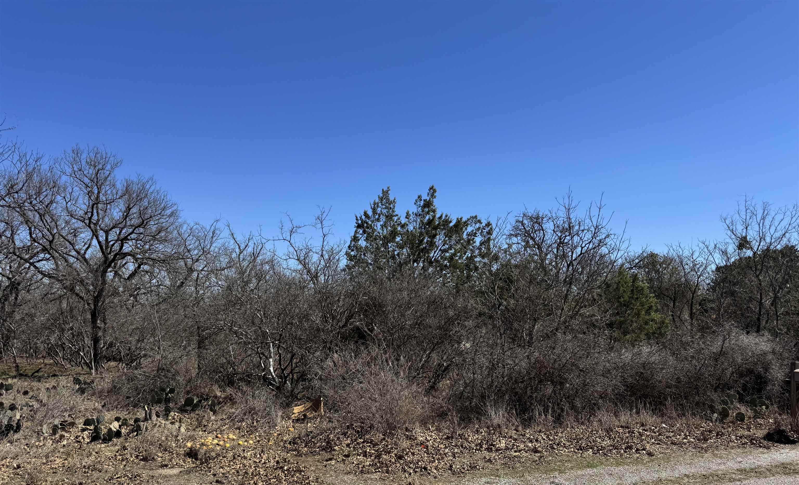 Lot 218 Western Drive Kingsland TX 78639