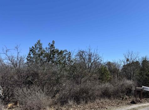 Lot 218 Western Drive Kingsland TX 78639