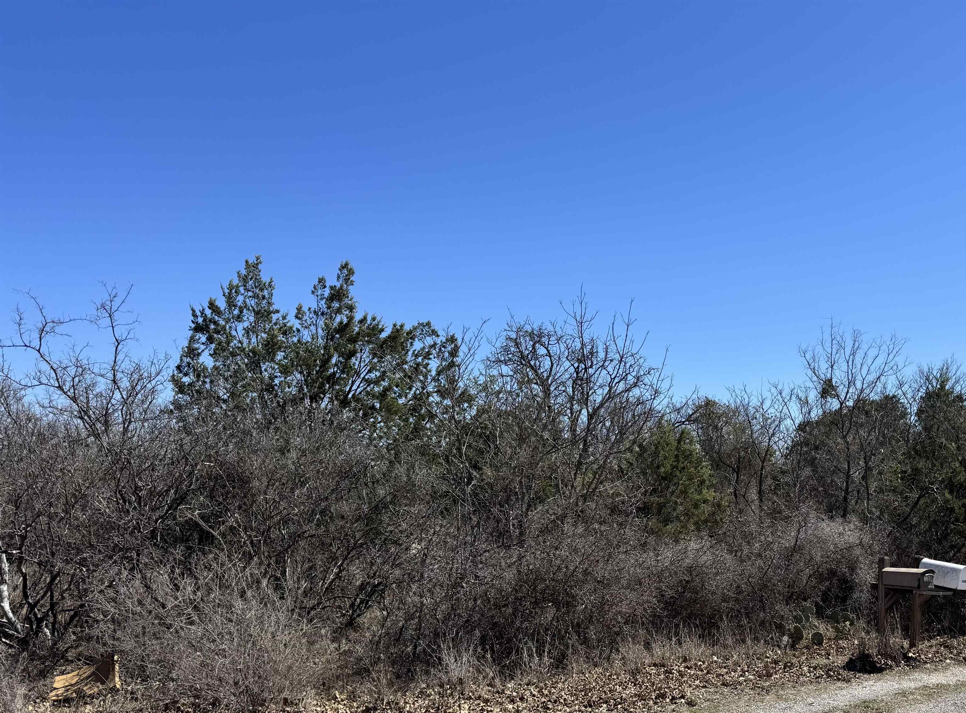 Lot 218 Western Drive Kingsland TX 78639
