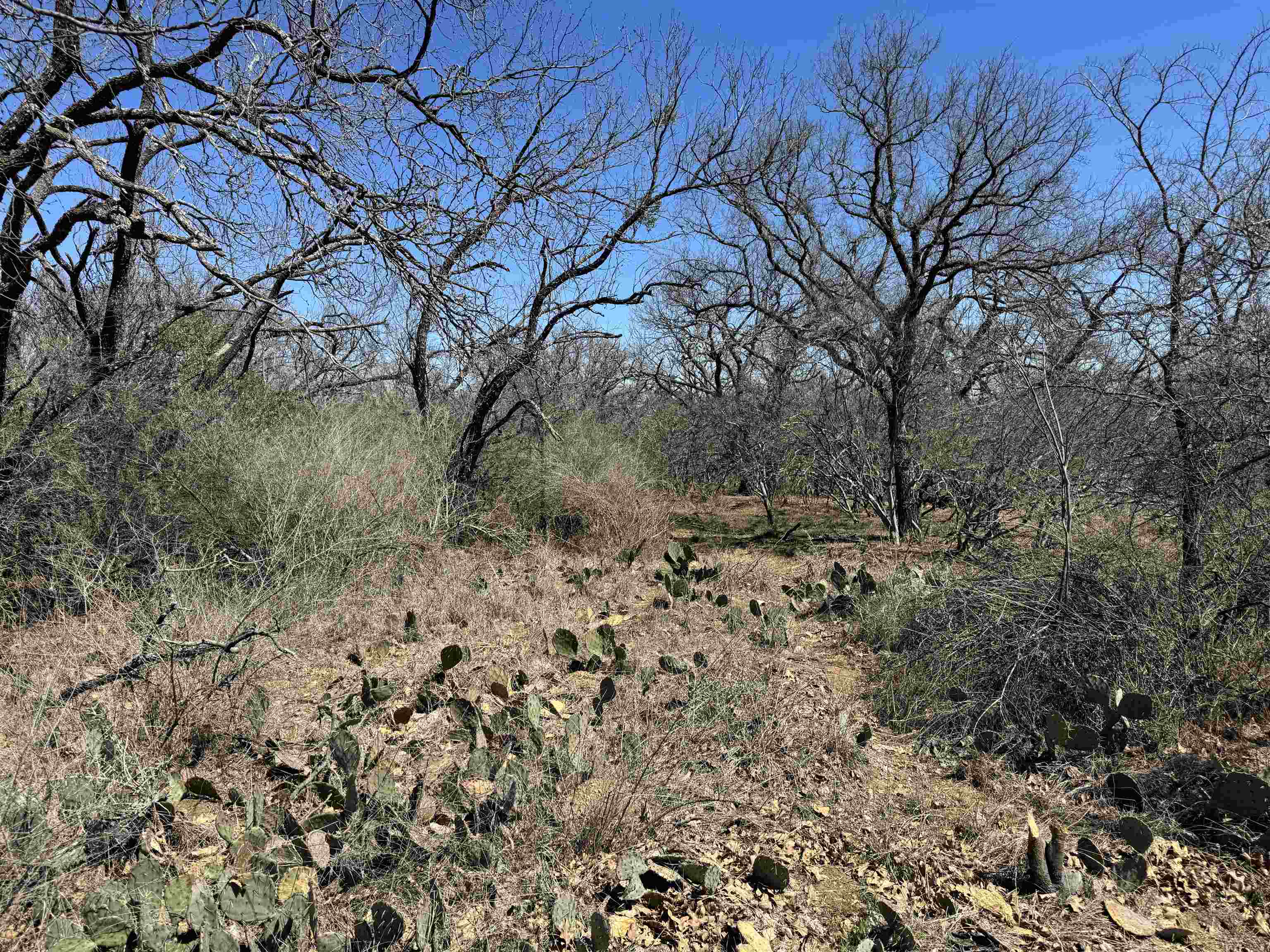 Lot 218 Western Drive Kingsland TX 78639