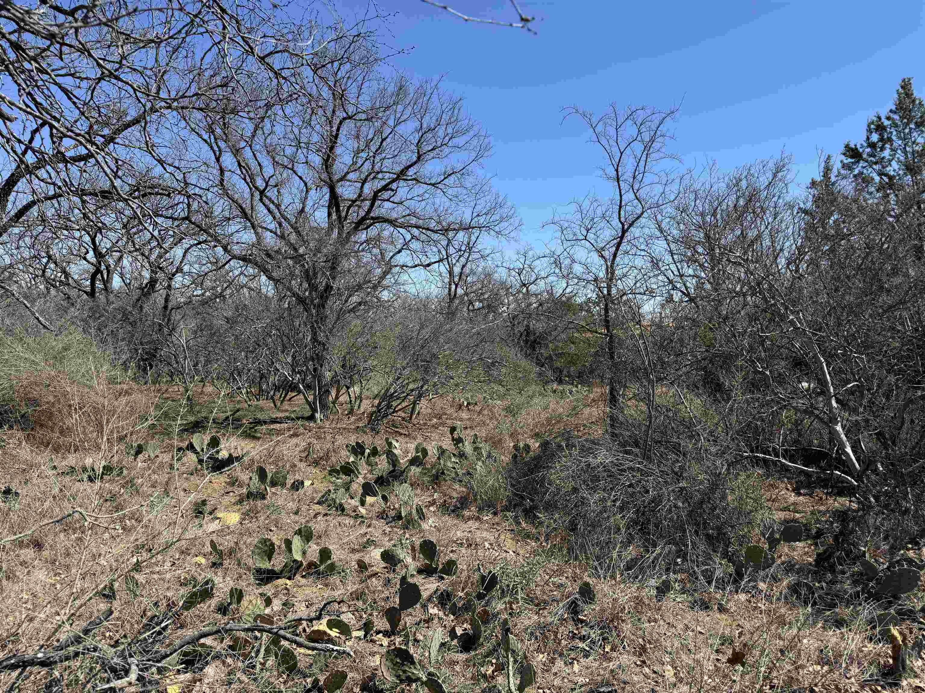 Lot 218 Western Drive Kingsland TX 78639