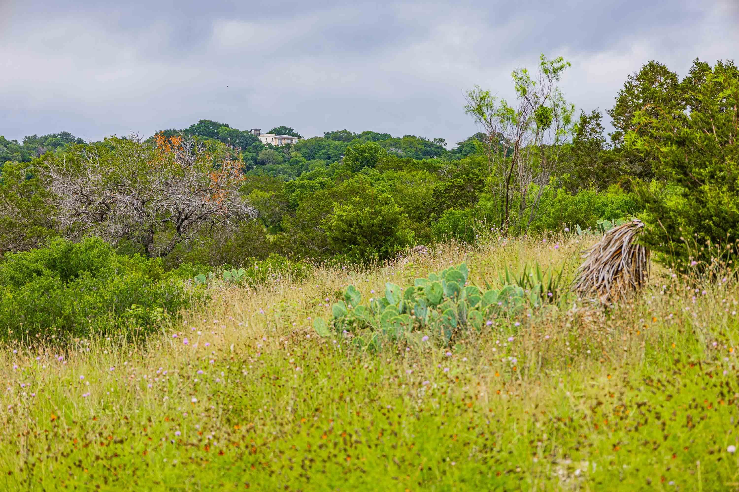22254-22255 Longshot Horseshoe Bay TX 78657