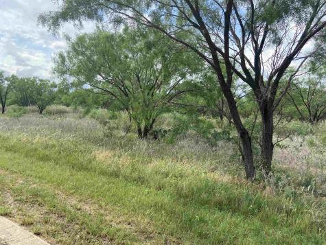 Lot 22 Lone Oak Drive Burnet TX 78639