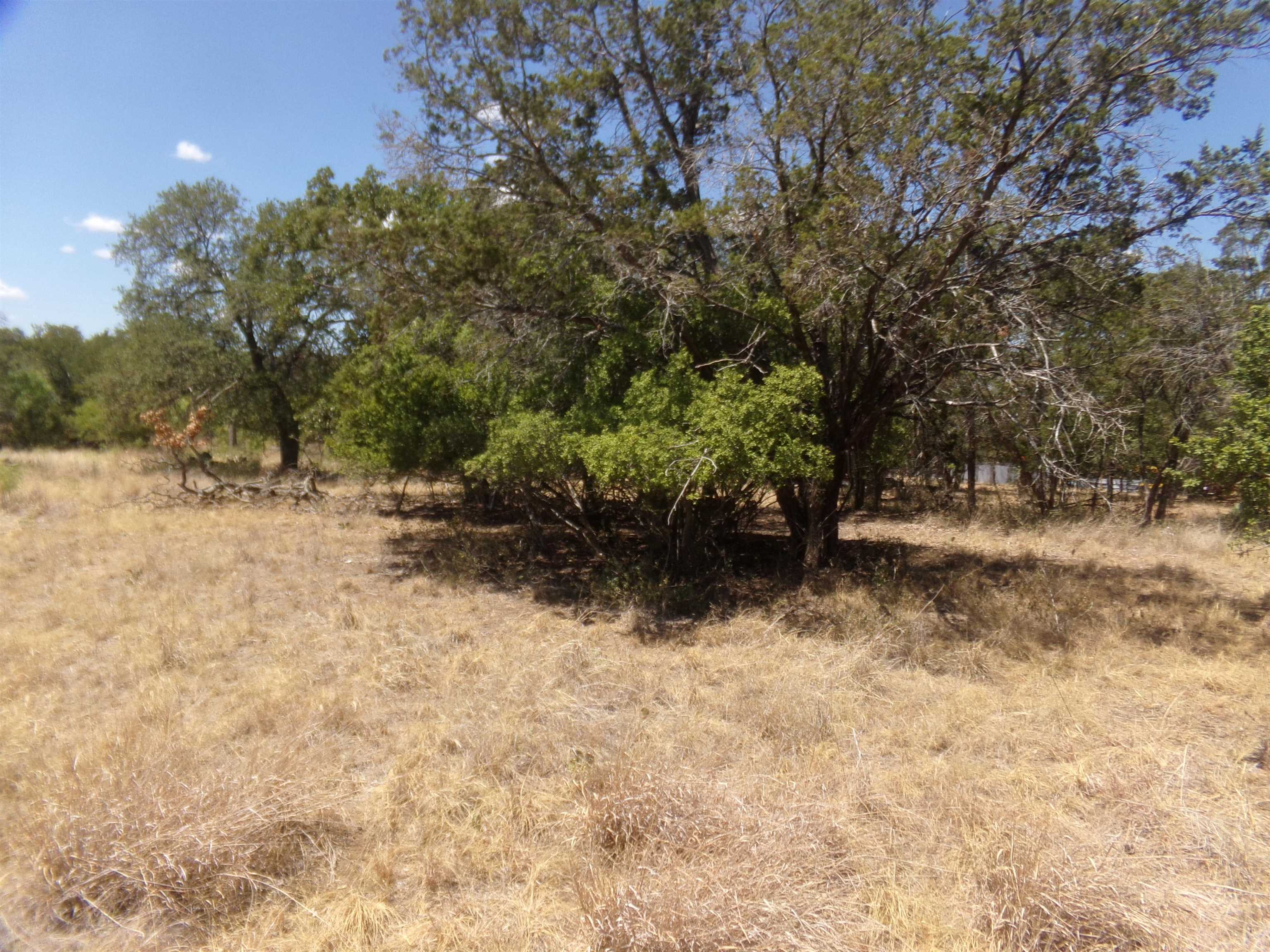 Lot 142 Pine Cottonwood Shores TX 78657