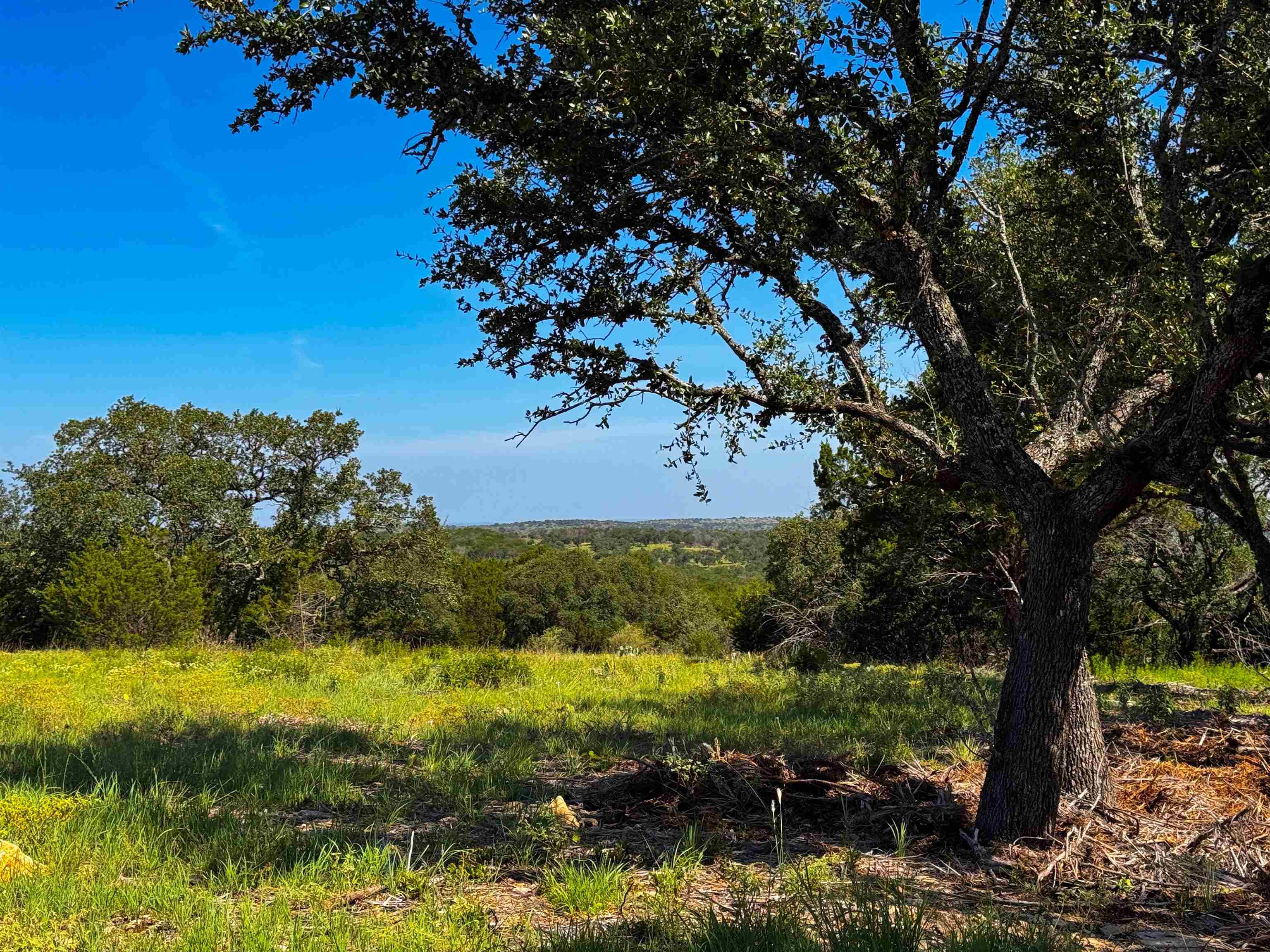 Lot 54 County Road 367 Pontotoc TX 76869
