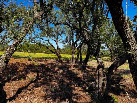 Lot 54 County Road 367 Pontotoc TX 76869