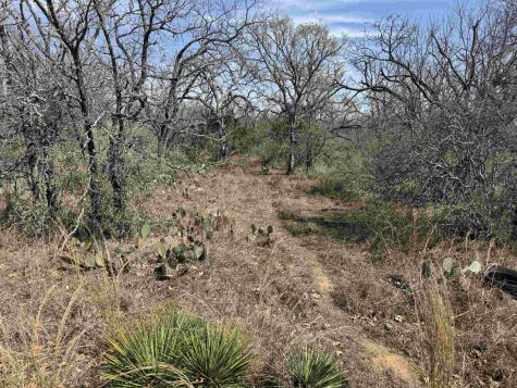 Lot 294 Pinemont Drive Kingsland TX 78639