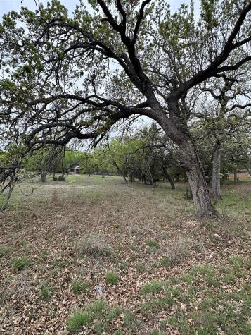 Lot 161 Driftwood Lane Cottonwood Shores TX 78657