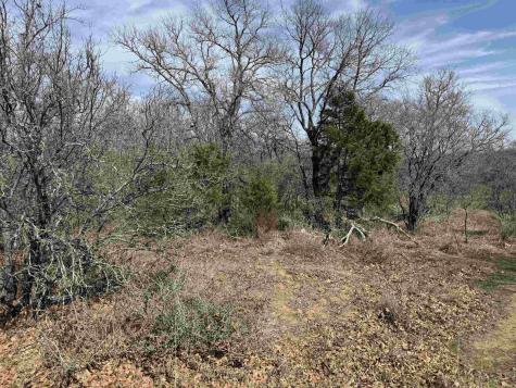 Lot 283-289 Aspermont Drive Kingsland TX 78639