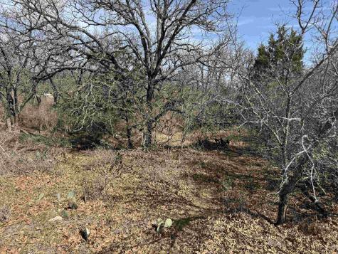 Lot 283-289 Aspermont Drive Kingsland TX 78639