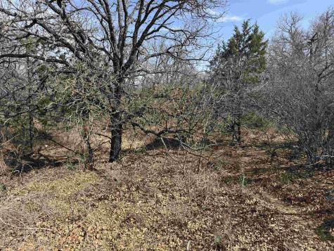 Lot 283-289 Aspermont Drive Kingsland TX 78639