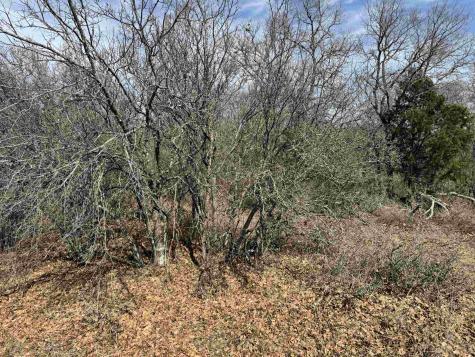 Lot 283-289 Aspermont Drive Kingsland TX 78639