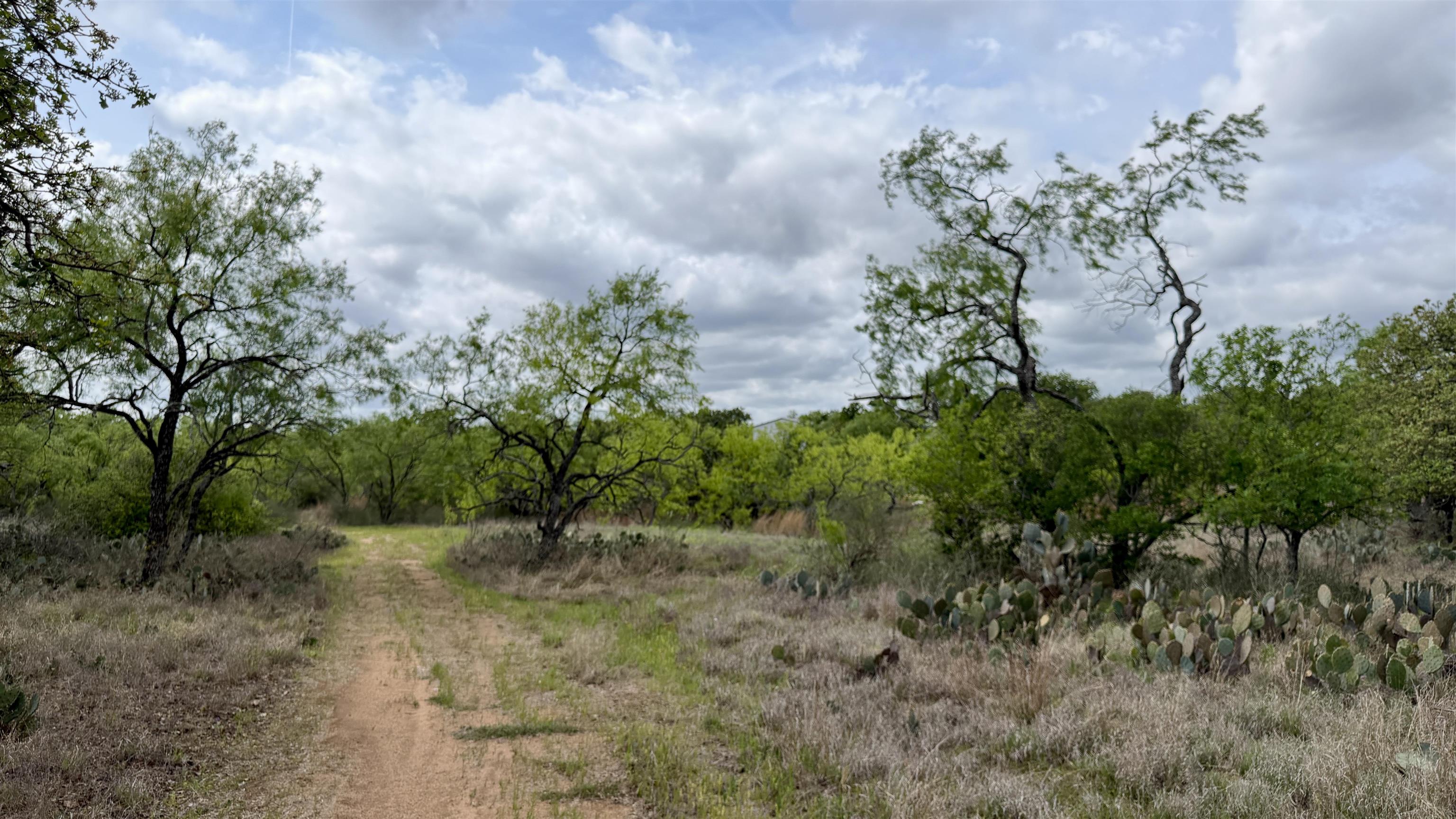 Lot 104 Ridgemont Kingsland TX 78639