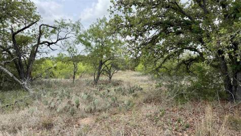 Lot 104 Ridgemont Kingsland TX 78639