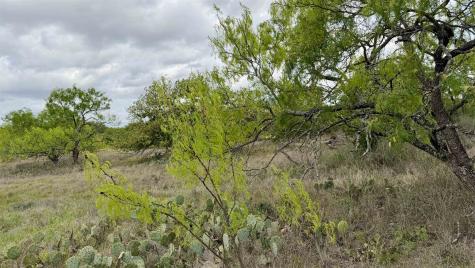 Lot 104 Ridgemont Kingsland TX 78639