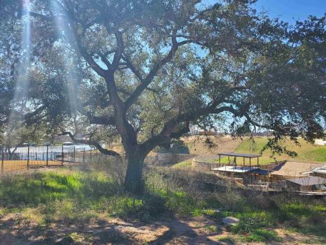 Lot 8 Legendary Estates Drive Kingsland TX 78639
