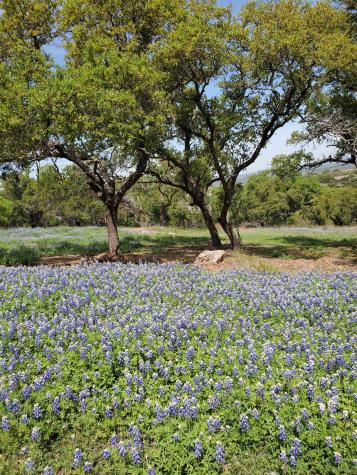5401 Dew Drop Street Horseshoe Bay TX 78657