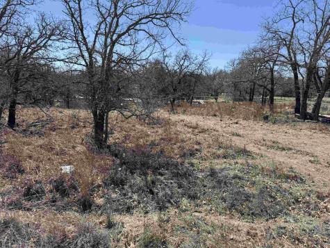 Lot 201 Longmont Drive Kingsland TX 78639