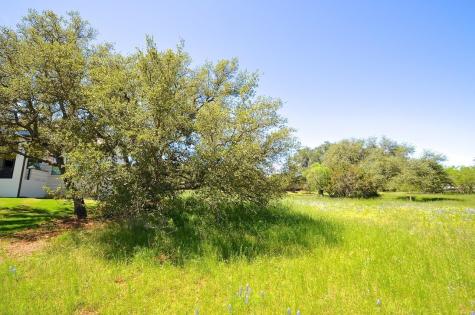 W21056 Gallop Horseshoe Bay TX 78657