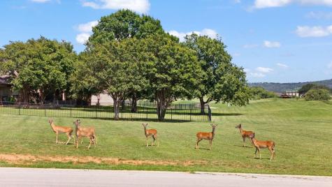 Lot 9002 Jubilee Drive Kingsland TX 78639
