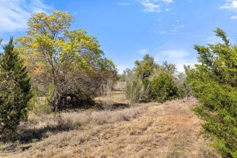 Lot 19 Stone Ridge Mountain Drive Round Mountain TX 78663