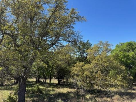 600 Silvermane Street Horseshoe Bay TX 78657