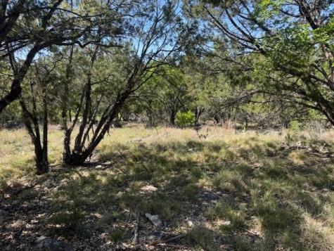 600 Silvermane Street Horseshoe Bay TX 78657