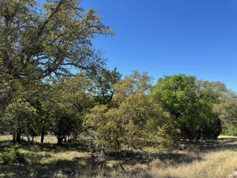 600 Silvermane Street Horseshoe Bay TX 78657