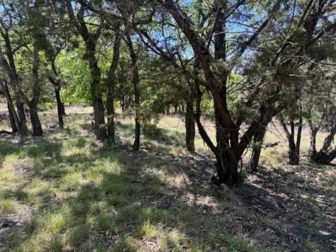 600 Silvermane Street Horseshoe Bay TX 78657