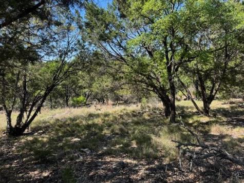 600 Silvermane Street Horseshoe Bay TX 78657