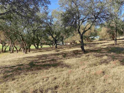 1106 Broken Hills Horseshoe Bay TX 78657