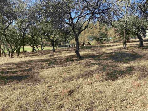 1106 Broken Hills Horseshoe Bay TX 78657
