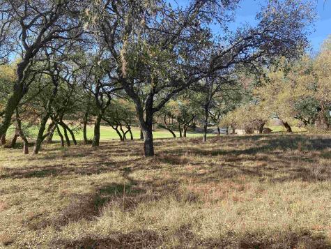 1106 Broken Hills Horseshoe Bay TX 78657