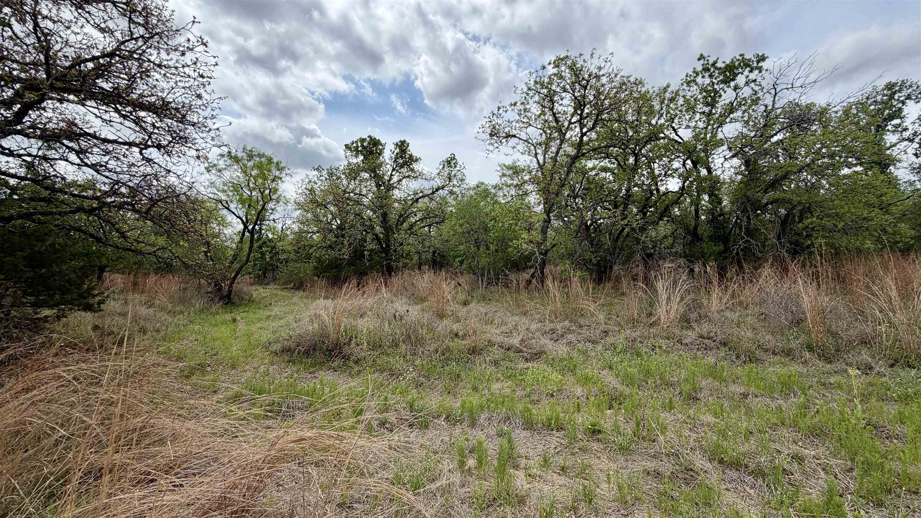 Lot 110 Ridgemont Kingsland TX 78639