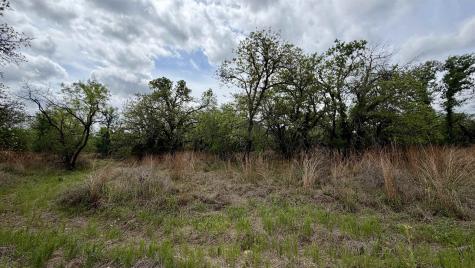 Lot 110 Ridgemont Kingsland TX 78639