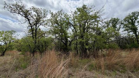 Lot 110 Ridgemont Kingsland TX 78639