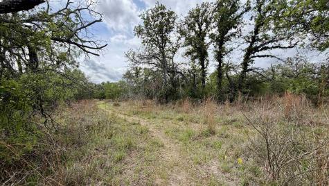 Lot 110 Ridgemont Kingsland TX 78639