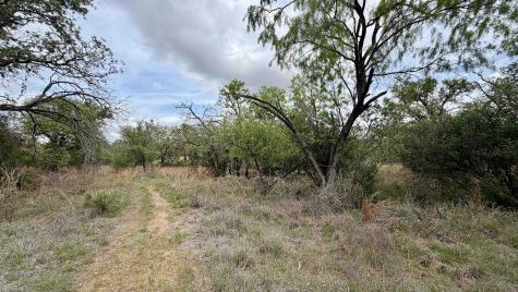 Lot 110 Ridgemont Kingsland TX 78639
