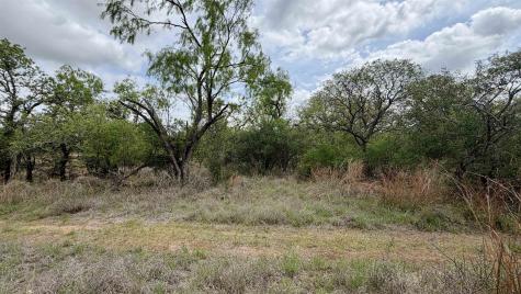 Lot 110 Ridgemont Kingsland TX 78639