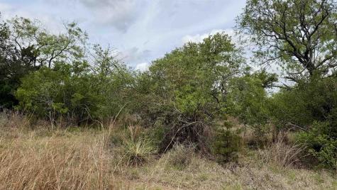 Lot 110 Ridgemont Kingsland TX 78639