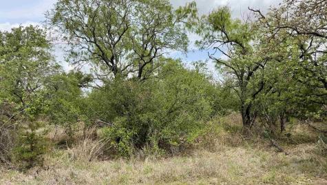 Lot 110 Ridgemont Kingsland TX 78639