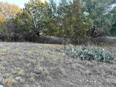 W3118 Desert Sun Horseshoe Bay TX 78657